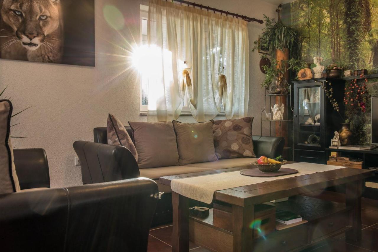 Apartments Ruza تْسْغيكفانِتْسا المظهر الخارجي الصورة