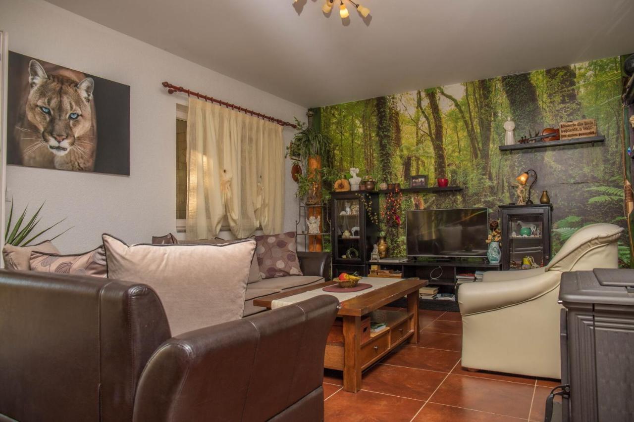 Apartments Ruza تْسْغيكفانِتْسا المظهر الخارجي الصورة